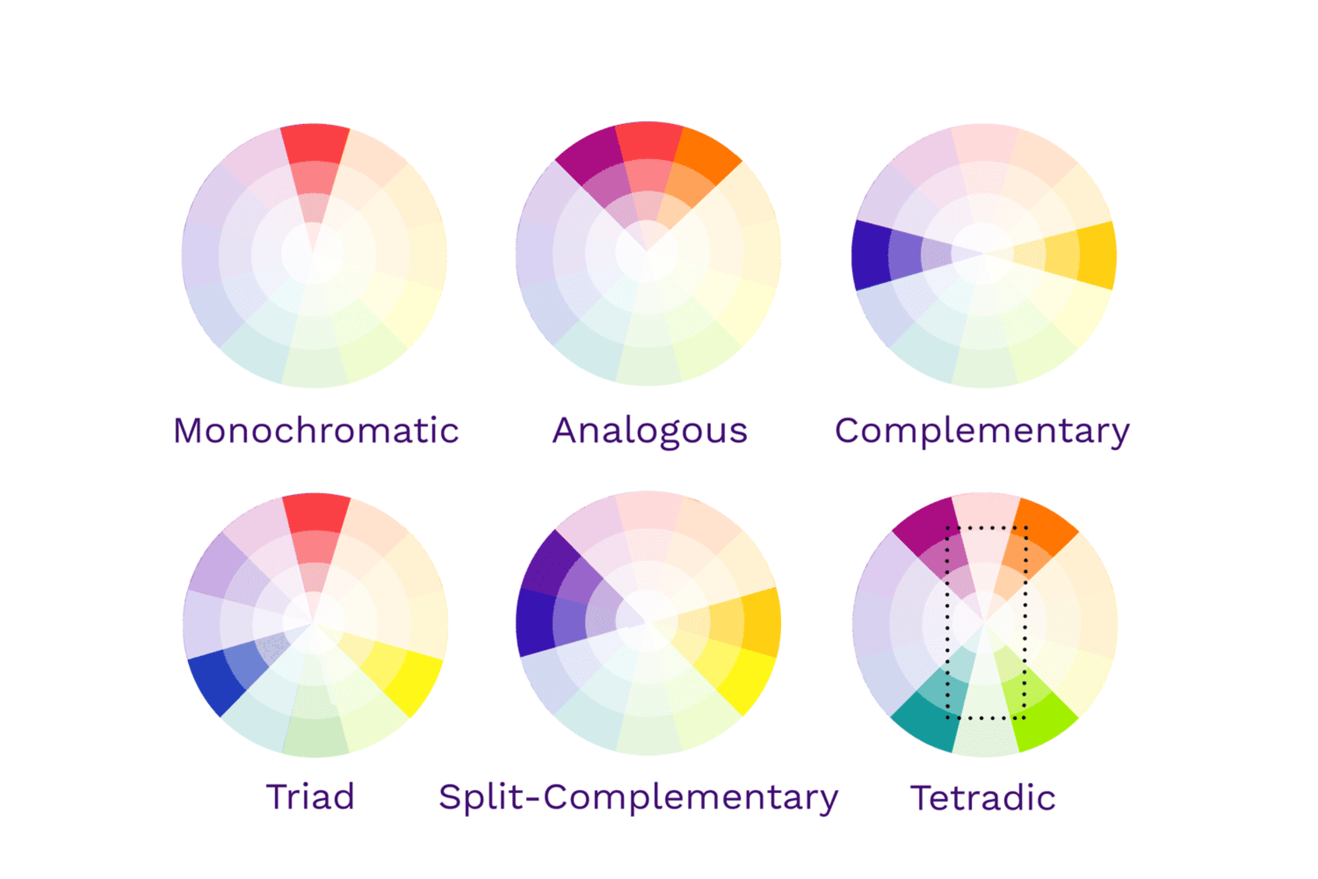 The Power of Colors: Crafting the Perfect Color Palette for Your Brand