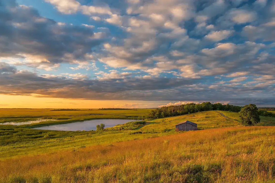 Your Website is Live. Now What? A Guide to Post-Launch Growth on the Prairies.